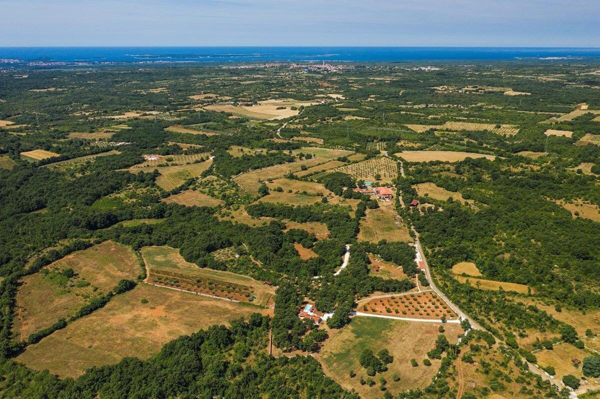 Villa Martinetinka Vodnjan Bagian luar foto