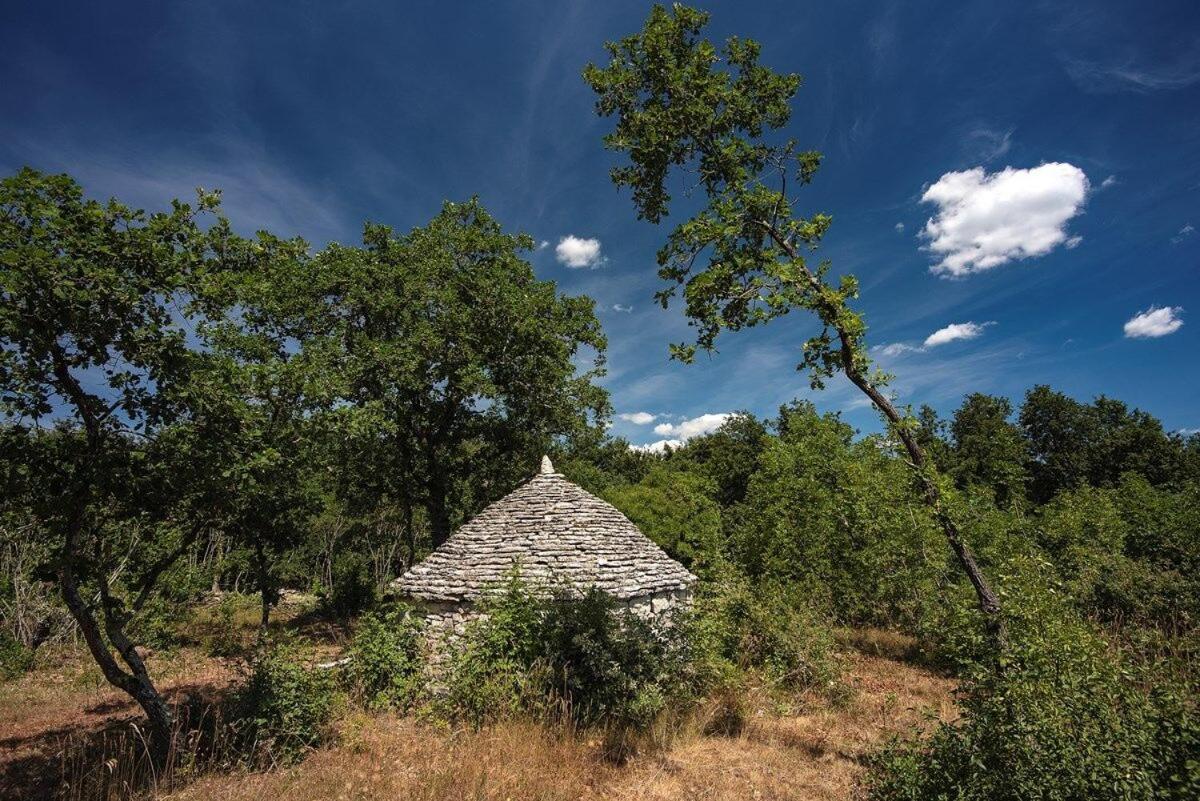 Villa Martinetinka Vodnjan Bagian luar foto
