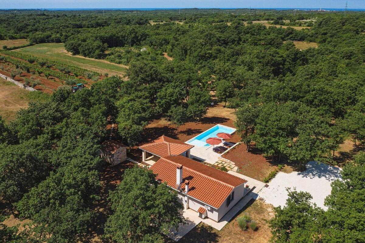 Villa Martinetinka Vodnjan Bagian luar foto