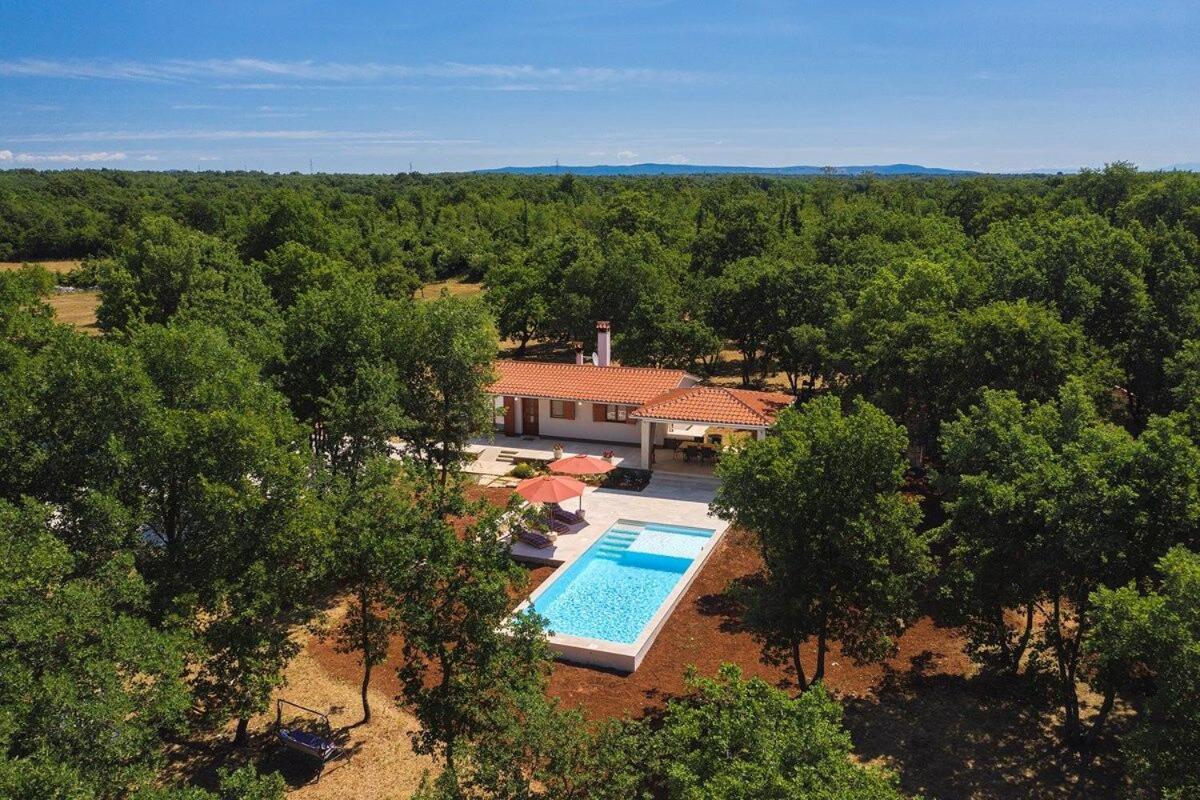 Villa Martinetinka Vodnjan Bagian luar foto