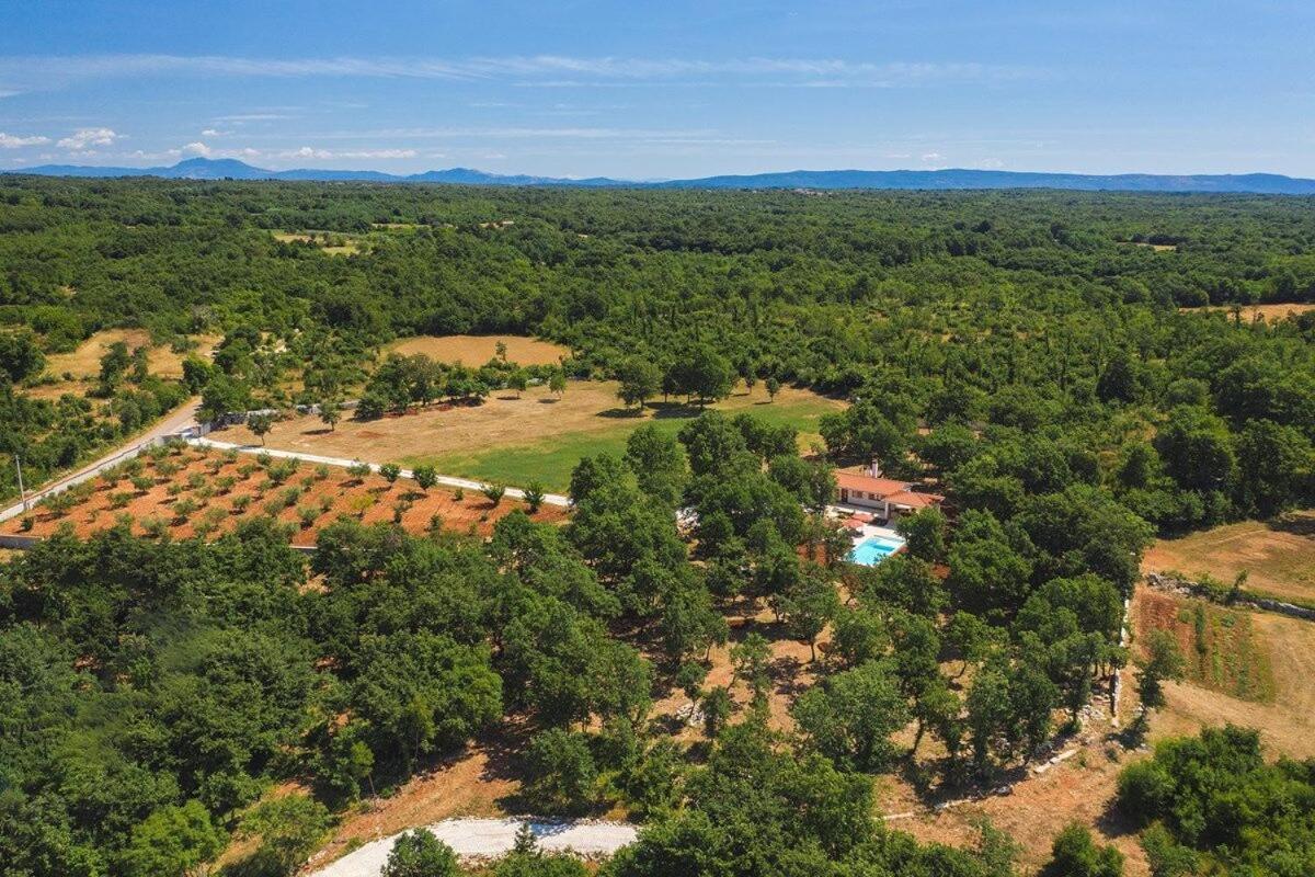 Villa Martinetinka Vodnjan Bagian luar foto