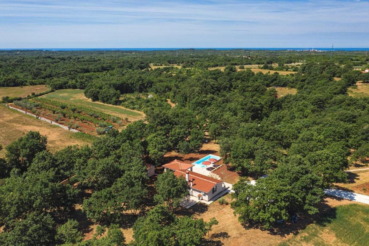 Villa Martinetinka Vodnjan Bagian luar foto